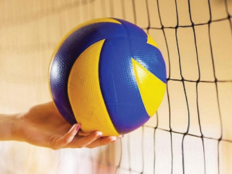 كرة الطائرة 