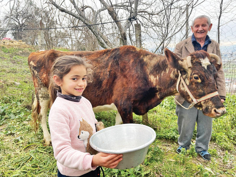 مكافحة الفقر ونقل الأسر من الاحتياج إلى الإنتاج