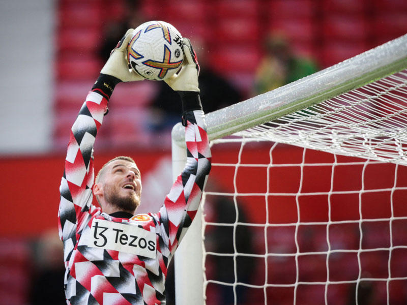   حارس المرمى دي خيا