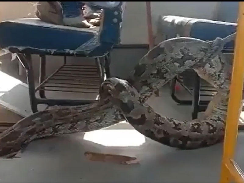 لقطة من مقطع فيديو نشره موقع «إنديان إكسبريس»