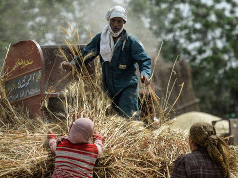 أزمة اقتصادية مصرية بسبب تداعيات أحداث عالمية ومشاكل داخلية مزمنة
